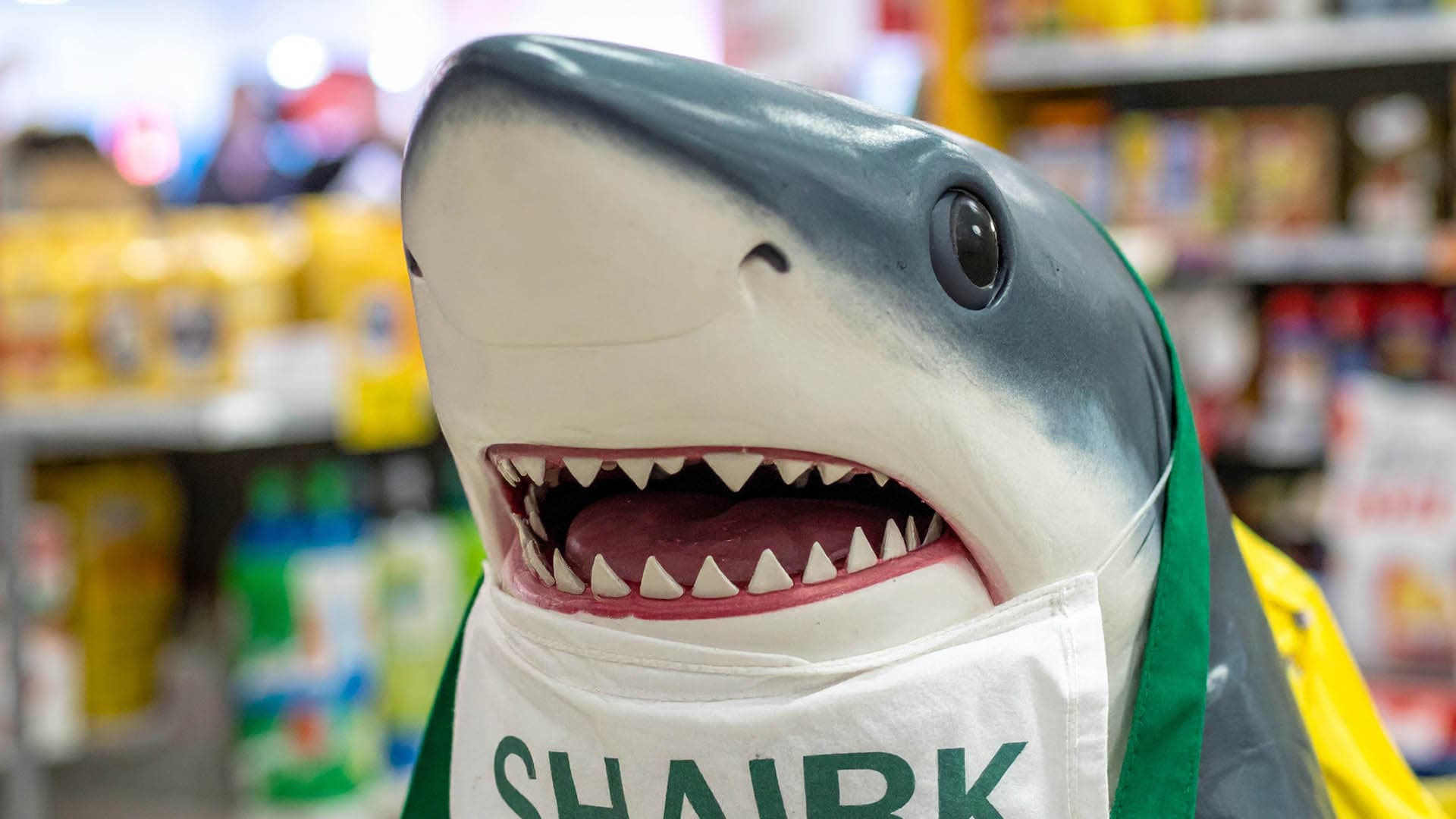 Sharkstore