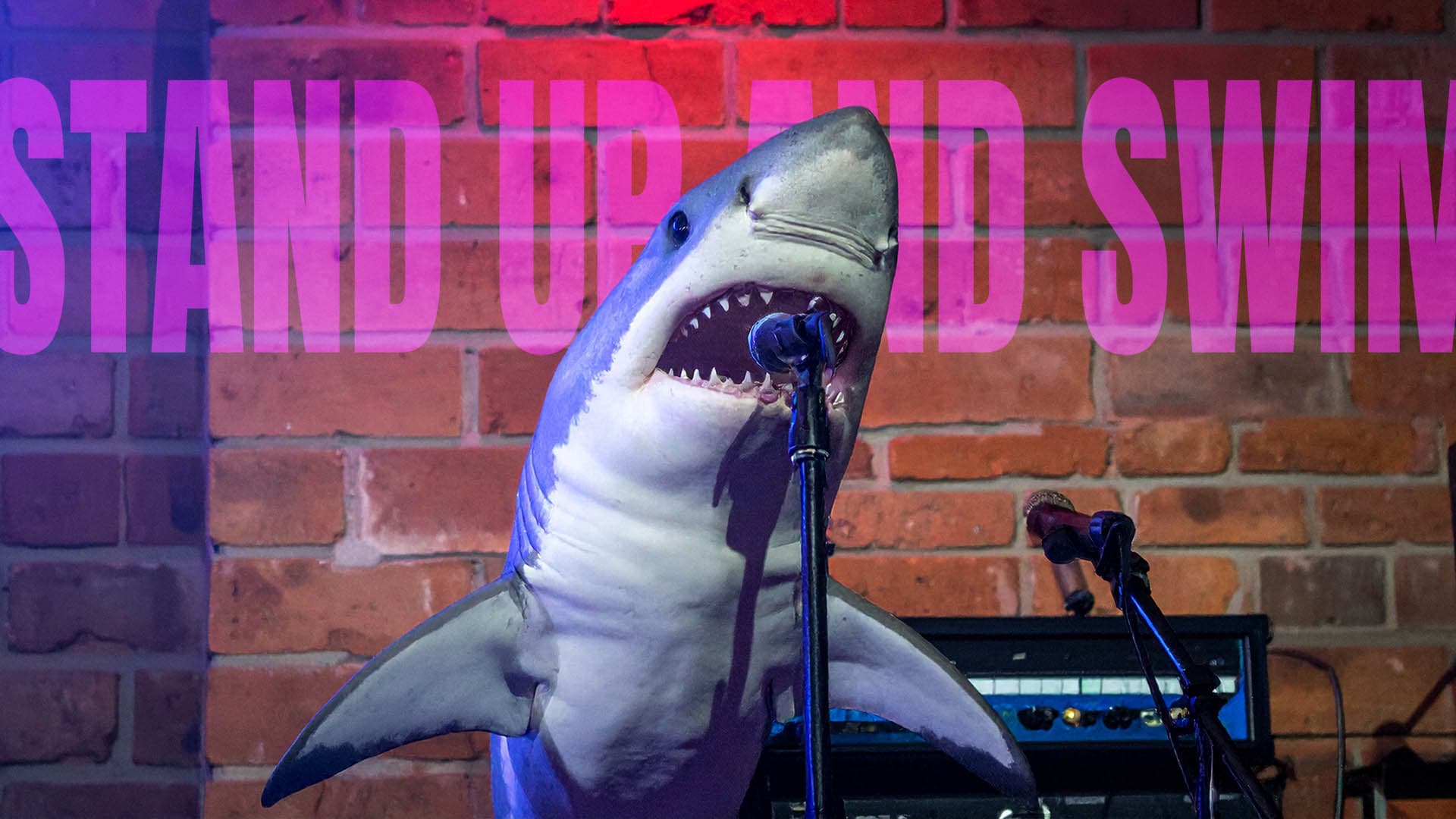 Stand Up And Swim